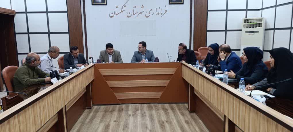 تأکید مدیرعامل آب منطقه‌ای بوشهر بر مدیریت هوشمند و مشارکتی منابع آب زیرزمینی در تنگستان